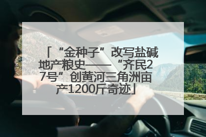 “金种子”改写盐碱地产粮史——“齐民27号”创黄河三角洲亩产1200斤奇迹