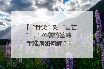 “针尖”对“麦芒”，176袋竹签棘手难题如何解？