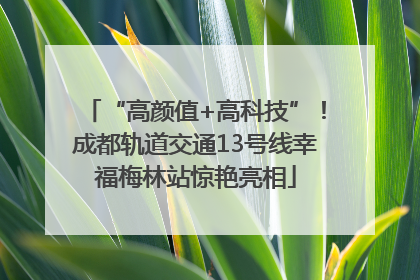 “高颜值+高科技”！成都轨道交通13号线幸福梅林站惊艳亮相