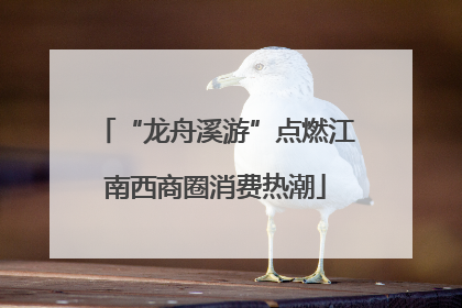 “龙舟溪游”点燃江南西商圈消费热潮