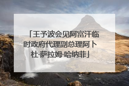 王予波会见阿富汗临时政府代理副总理阿卜杜·萨拉姆·哈纳菲
