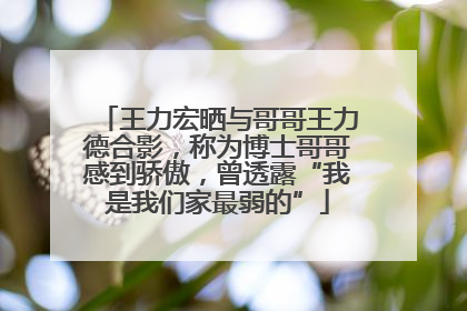 王力宏晒与哥哥王力德合影，称为博士哥哥感到骄傲，曾透露“我是我们家最弱的”