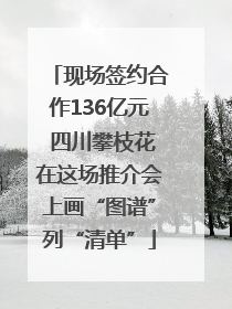 现场签约合作136亿元 四川攀枝花在这场推介会上画“图谱”列“清单”