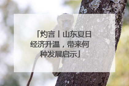 灼言丨山东夏日经济升温，带来何种发展启示