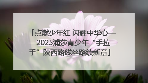 点燃少年红 闪耀中华心——2025浦莎青少年“手拉手”陕西路线丝路续新章