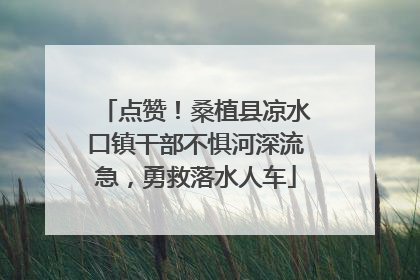 点赞！桑植县凉水口镇干部不惧河深流急，勇救落水人车
