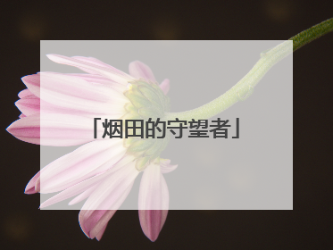 烟田的守望者