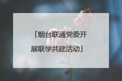 烟台联通党委开展联学共建活动