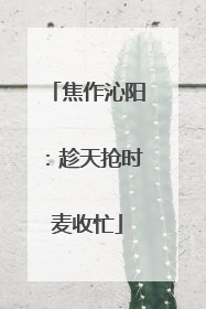 焦作沁阳：趁天抢时麦收忙