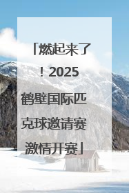 燃起来了！2025鹤壁国际匹克球邀请赛激情开赛