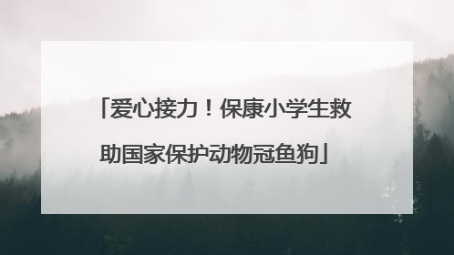爱心接力！保康小学生救助国家保护动物冠鱼狗