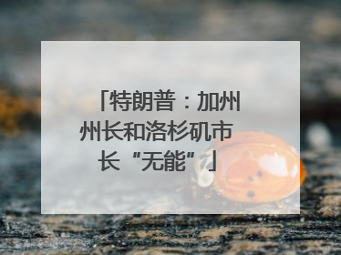 特朗普：加州州长和洛杉矶市长“无能”
