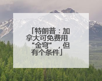 特朗普：加拿大可免费用“金穹”，但有个条件