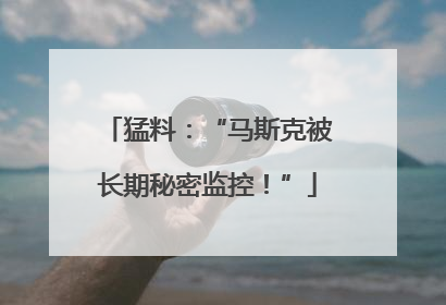 猛料：“马斯克被长期秘密监控！”