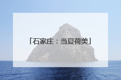 石家庄：当夏荷美