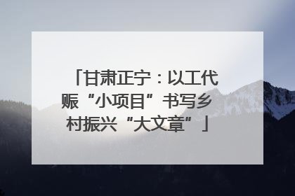 甘肃正宁：以工代赈“小项目”书写乡村振兴“大文章”