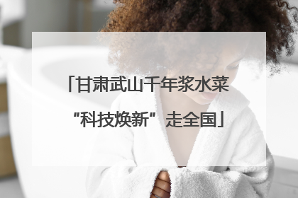 甘肃武山千年浆水菜“科技焕新”走全国