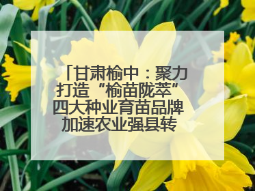 甘肃榆中：聚力打造“榆苗陇萃”四大种业育苗品牌 加速农业强县转型步伐