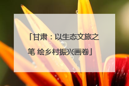甘肃：以生态文旅之笔 绘乡村振兴画卷