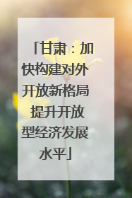 甘肃：加快构建对外开放新格局 提升开放型经济发展水平