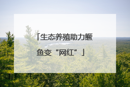 生态养殖助力鳜鱼变“网红”