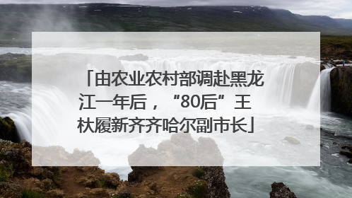 由农业农村部调赴黑龙江一年后，“80后”王杕履新齐齐哈尔副市长