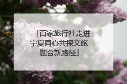 百家旅行社走进宁夏同心共探文旅融合新路径