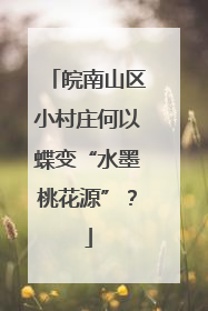 皖南山区小村庄何以蝶变“水墨桃花源”？