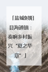 盐城射阳县海通镇：奏响乡村振兴“夏之华章”