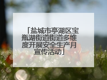 盐城市亭湖区宝瓶湖街道街道多维度开展安全生产月宣传活动