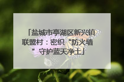 盐城市亭湖区新兴镇联盟村：密织“防火墙”守护蓝天净土