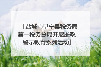 盐城市阜宁县税务局第一税务分局开展廉政警示教育系列活动