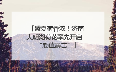 盛夏荷香浓！济南大明湖荷花率先开启“颜值暴击”