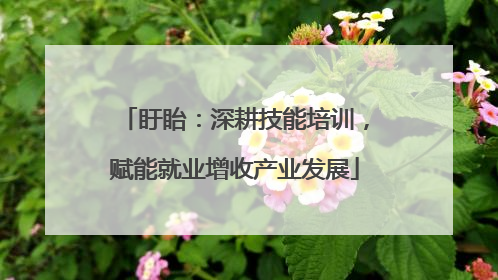 盱眙：深耕技能培训，赋能就业增收产业发展