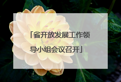 省开放发展工作领导小组会议召开