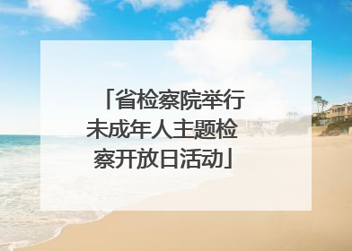 省检察院举行未成年人主题检察开放日活动