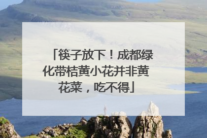 筷子放下！成都绿化带桔黄小花并非黄花菜，吃不得