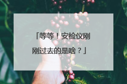 等等！安检仪刚刚过去的是啥？
