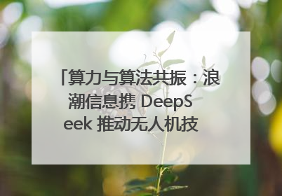 算力与算法共振：浪潮信息携 DeepSeek 推动无人机技术在舟山落地