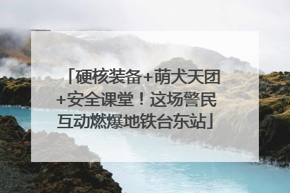 硬核装备+萌犬天团+安全课堂！这场警民互动燃爆地铁台东站