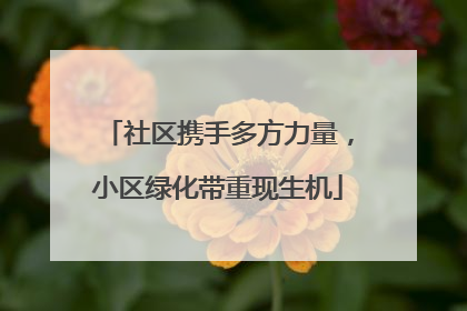 社区携手多方力量，小区绿化带重现生机