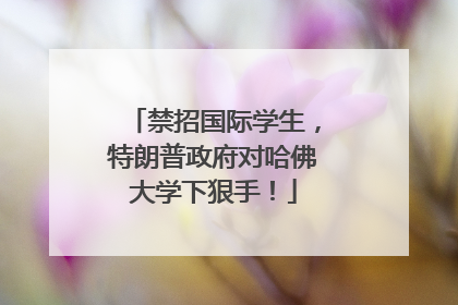 禁招国际学生，特朗普政府对哈佛大学下狠手！
