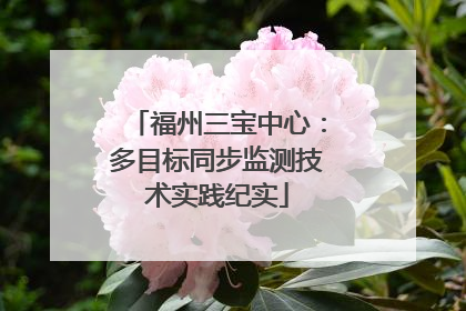 福州三宝中心：多目标同步监测技术实践纪实