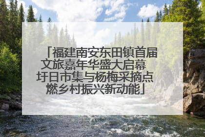 福建南安东田镇首届文旅嘉年华盛大启幕 圩日市集与杨梅采摘点燃乡村振兴新动能