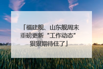福建舰、山东舰周末重磅更新“工作动态” 狠狠期待住了