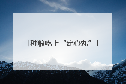 种粮吃上“定心丸”