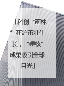 科创“雨林”在沪茁壮生长，“硬核”成果吸引全球目光