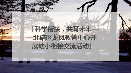 科学衔接，共育未来——北碚区龙凤教管中心开展幼小衔接交流活动