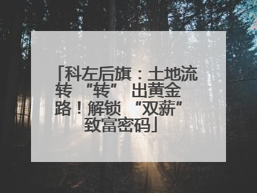 科左后旗：土地流转 “转” 出黄金路！解锁 “双薪” 致富密码