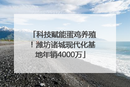 科技赋能蛋鸡养殖！潍坊诸城现代化基地年销4000万